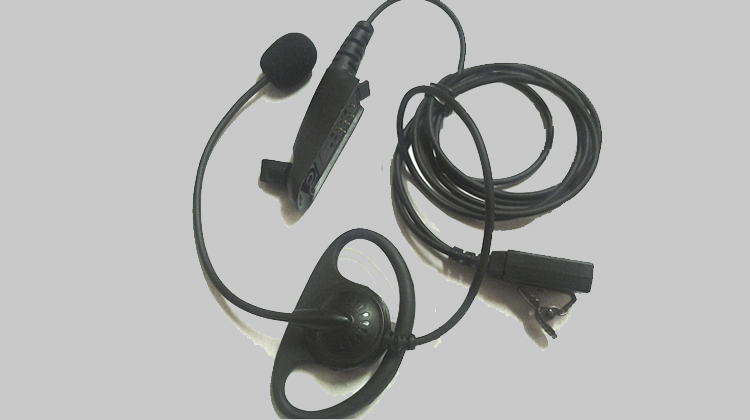 p-detail
